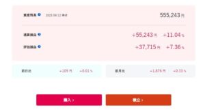 SBIラップ VS ウェルスナビ比較　結局しばらく大きな変動なかったね。