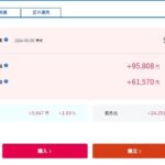 SBIラップ VS ウェルスナビ 比較　この相場は・・・