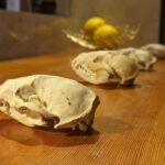 秘密のお店　★★★★★【大阪】