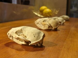 秘密のお店　★★★★★【大阪】