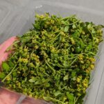 zensockskitchen〜花山椒〜