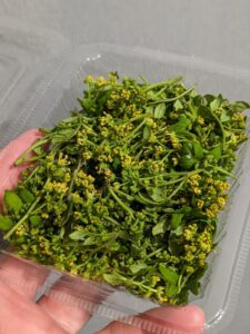 zensockskitchen〜花山椒〜