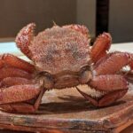 蛸薬師ふるかわ　★★★★☆【京都】