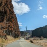 心根 ★★★★★【大阪】