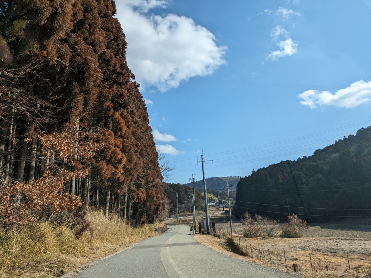 心根 ★★★★★【大阪】