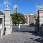 真っ白なメロンパン　《チェルキオのお豆腐メロンパン》