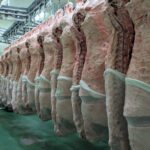 京都食肉市場　勉強会　