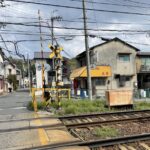 京都グルメレポート851「泉亭」カツ丼