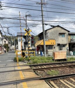 京都グルメレポート851「泉亭」カツ丼