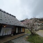 心根 　前編★★★★★【大阪】