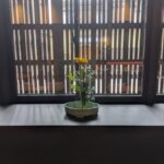 僧伽小野 京都新町別邸