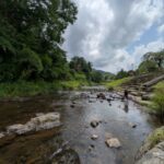 tanoshic resort 西紀荘　★★☆☆☆【兵庫】