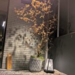 焼肉うちだ ★★★☆☆【大阪】